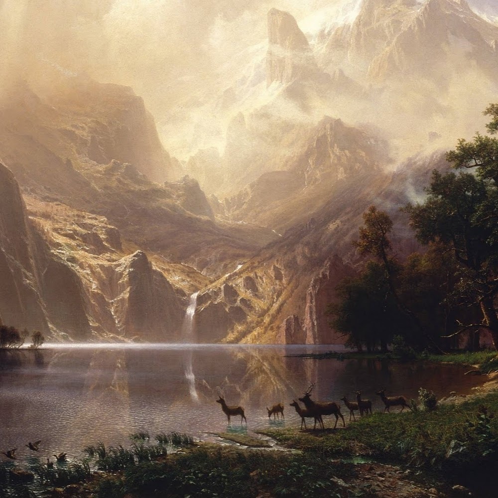 Meet your Posher, Zoe